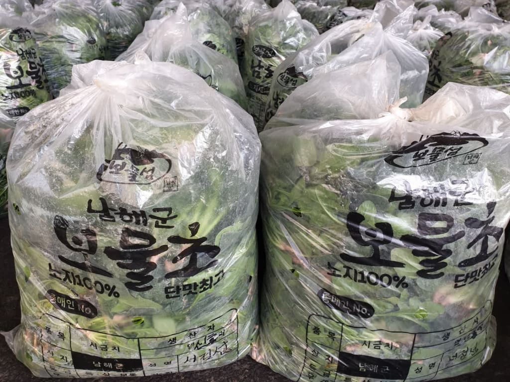 남해시금치 25