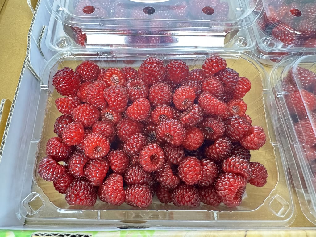 산딸기 7