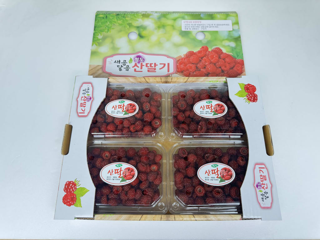 산딸기 8