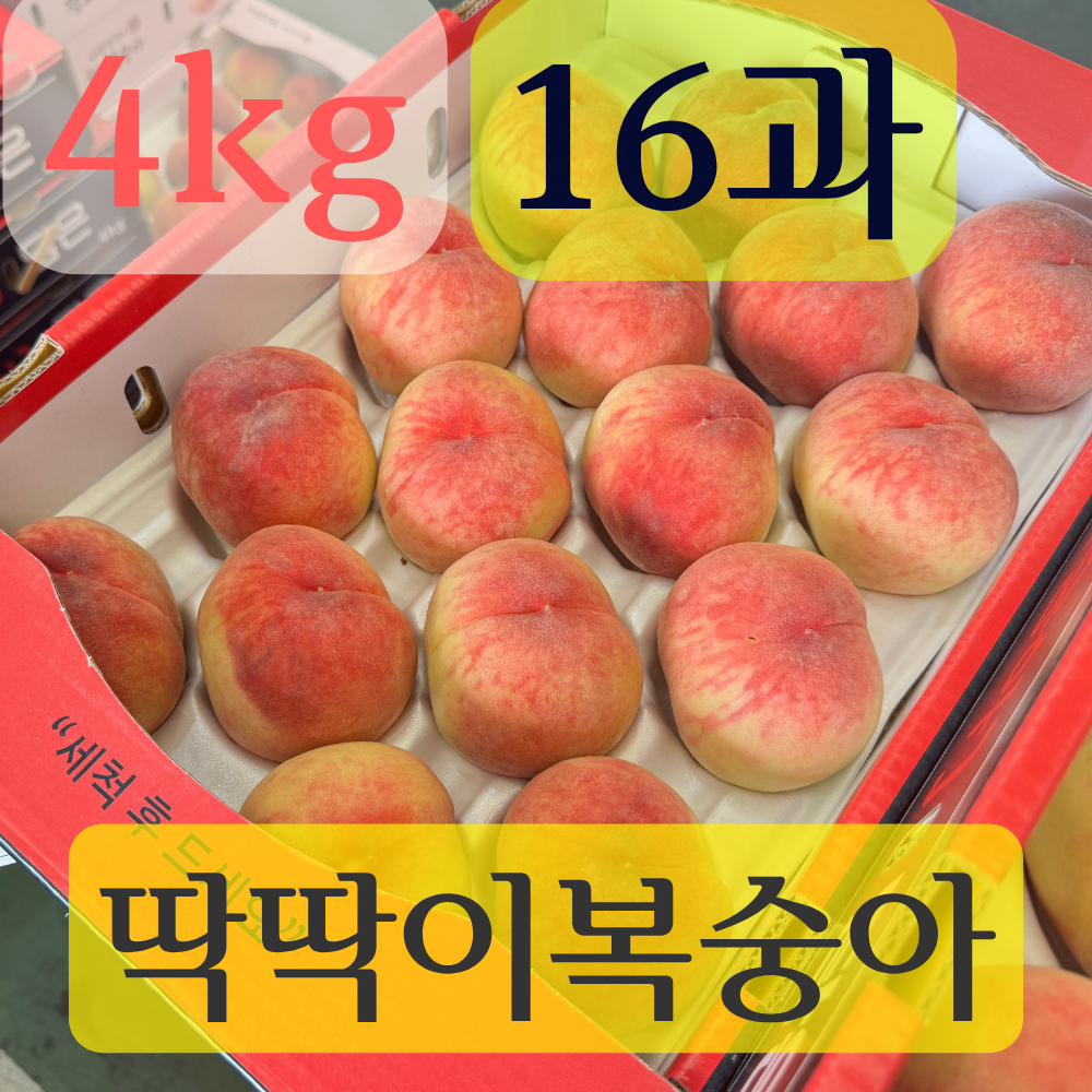 아삭아삭 딱딱이 복숭아 2kg / 4kg 6