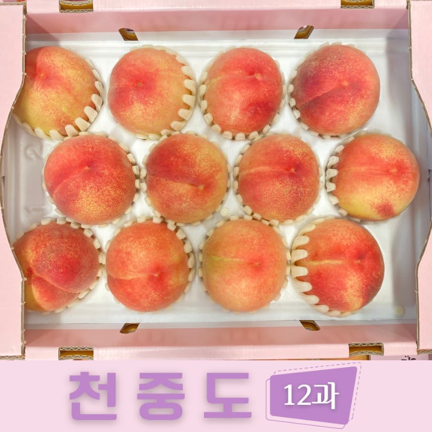 천중도 복숭아 2