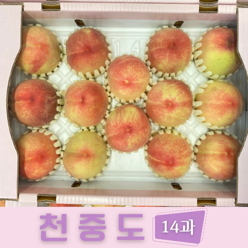 천중도 복숭아 3