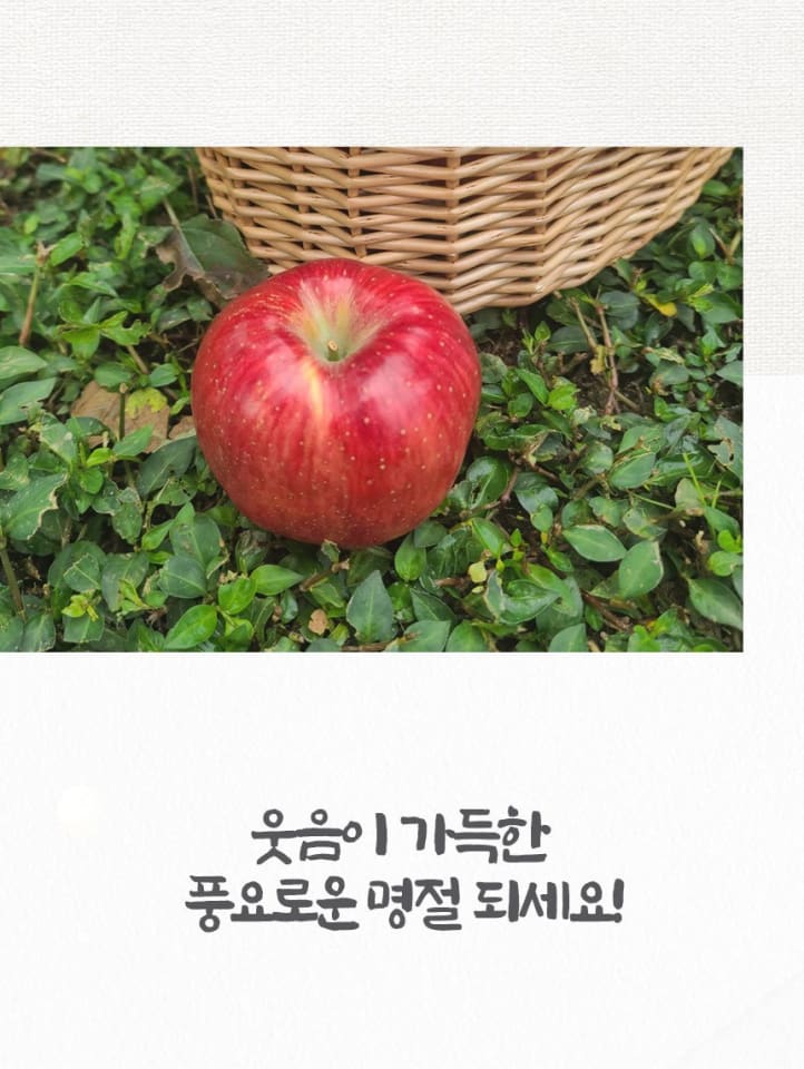 사과(홍로) 5
