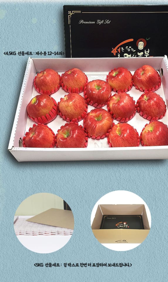 사과(홍로) 9