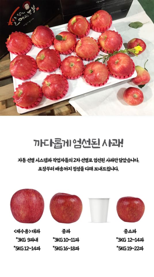사과(홍로) 10