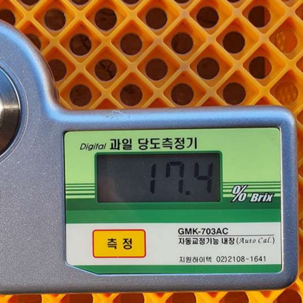 태추단감 14