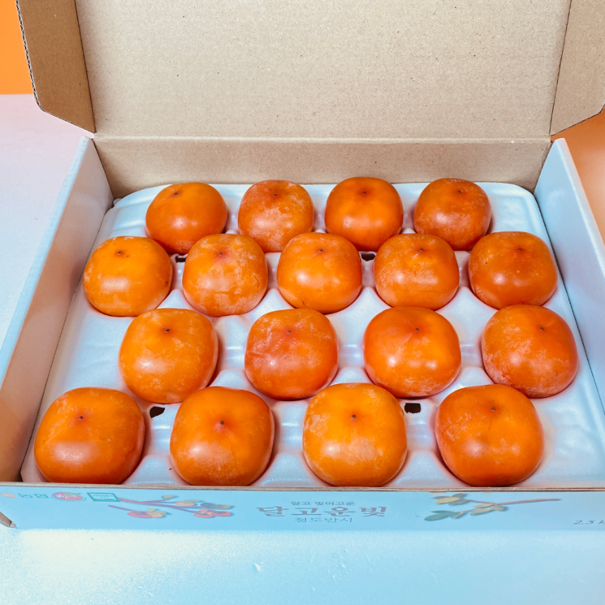 청도반시 4
