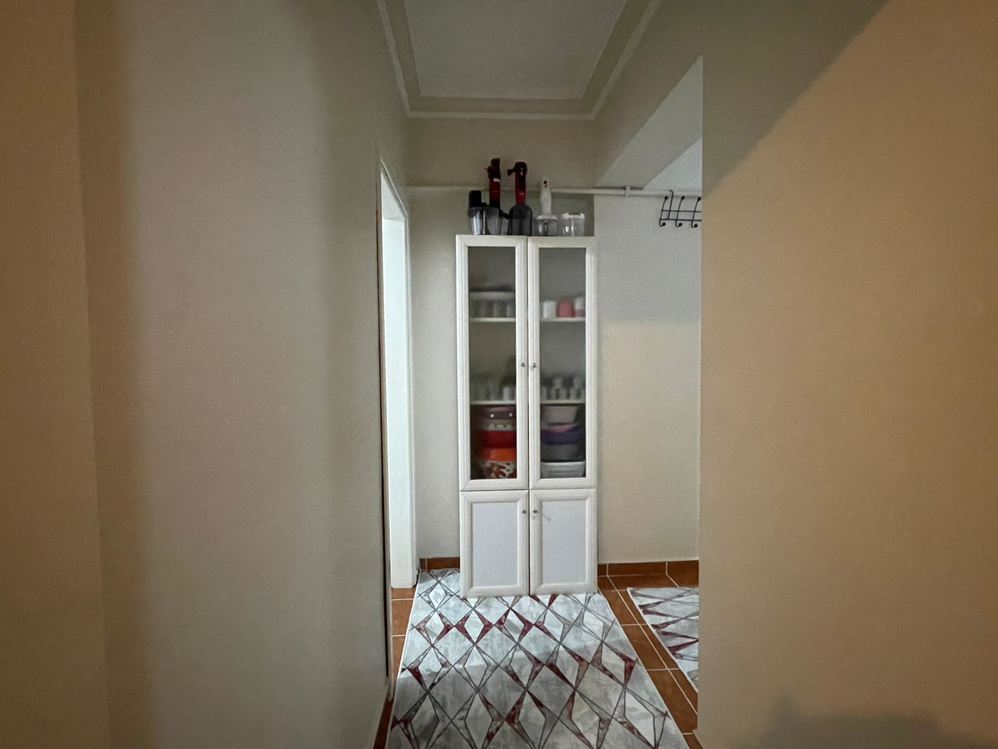 Hol / Giriş