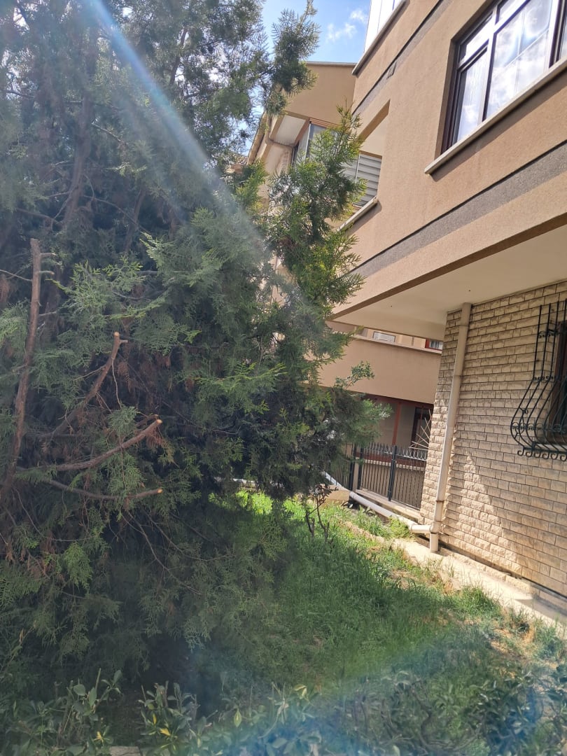 G.O.P. BÜYÜKESAT BAKIMLI ASANSÖRLÜ 3+1 120M2 FIRSAT DAİRE 37