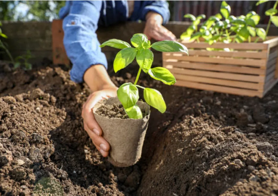 Đội ngũ ReViet tại cửa hàng