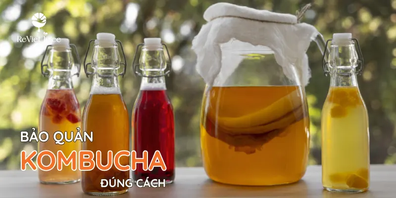 Bảo quản kombucha đúng cách