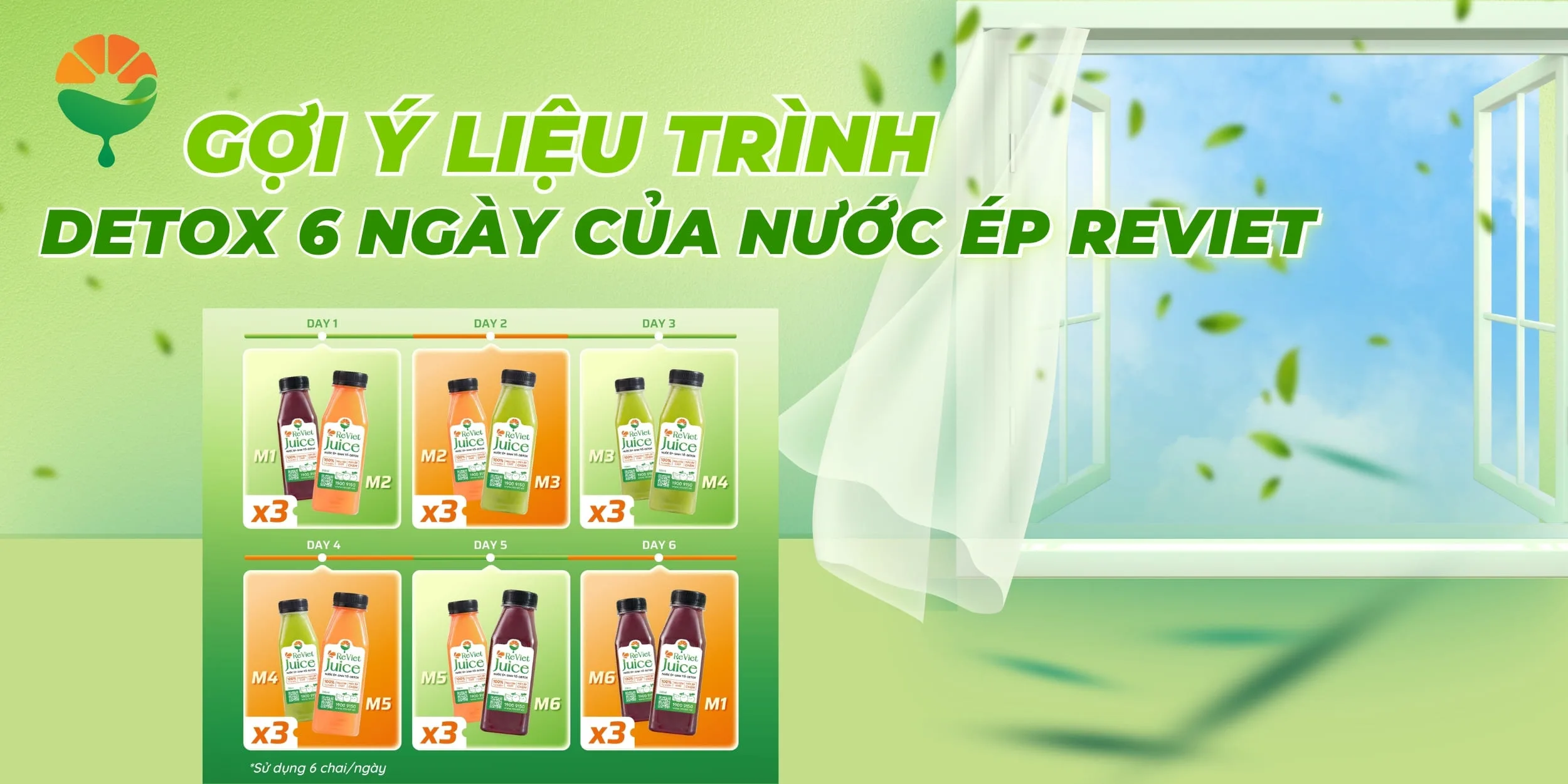 Gợi ý liệu trình detox 6 ngày của Nước ép ReViet
