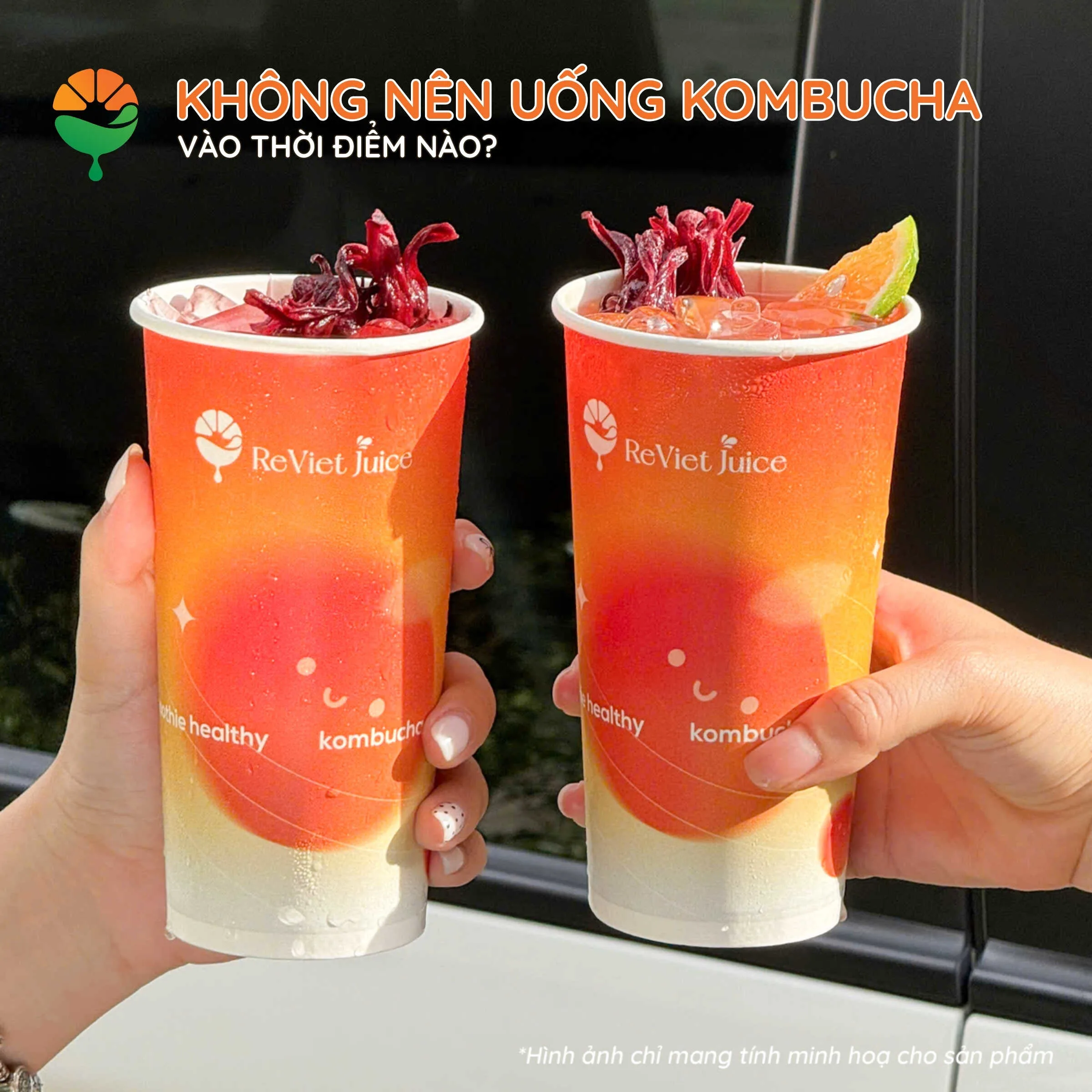 Không nên uống Kombucha vào thời điểm nào?