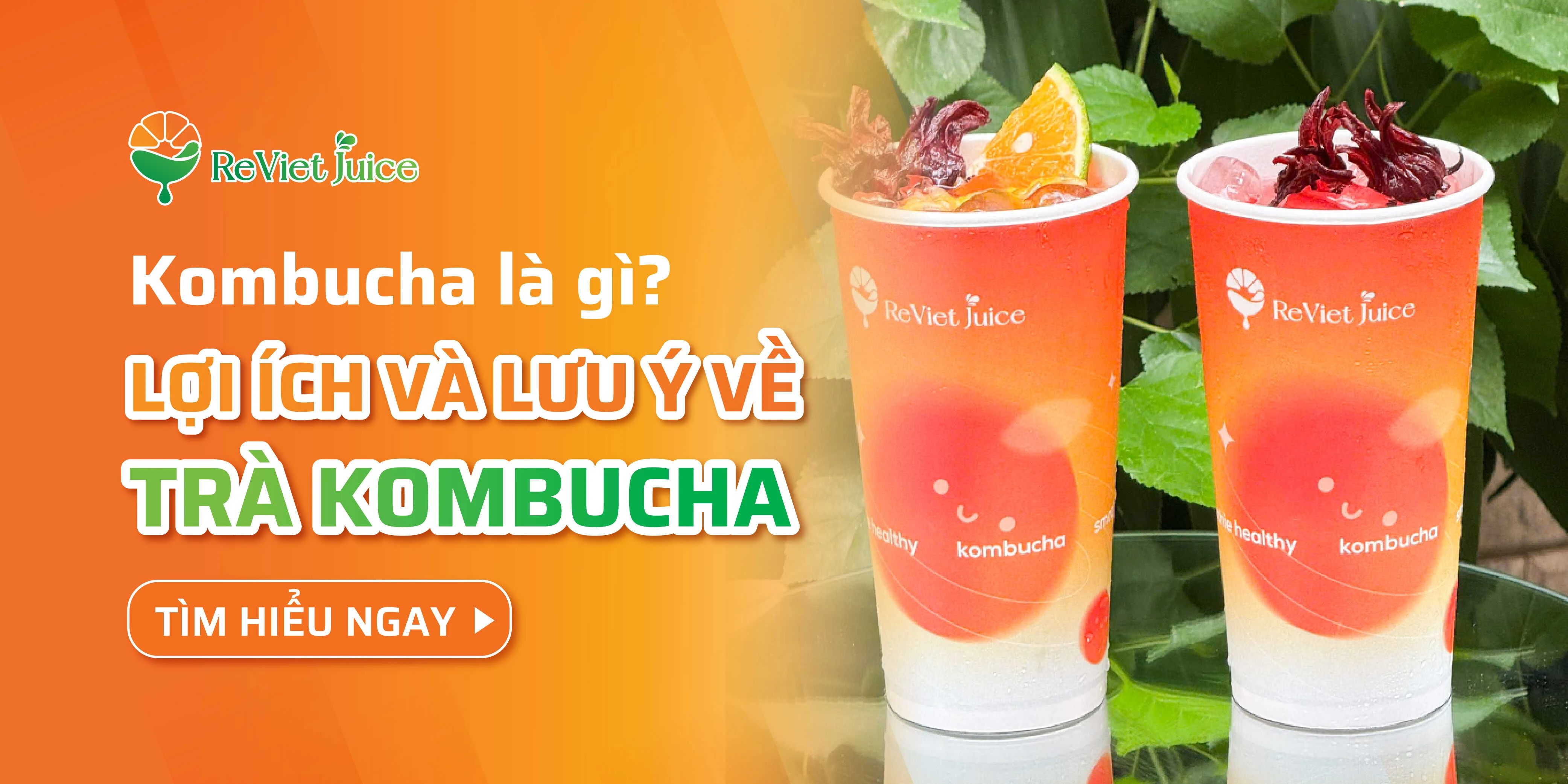 Kombucha là gì? Những lợi ích của trà kombucha và lưu ý cần biết