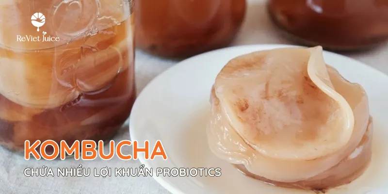 Kombucha là một nguồn thực phẩm chứa nhiều lợi khuẩn Probiotics Kombucha là một nguồn thực phẩm chứa nhiều lợi khuẩn Probiotics