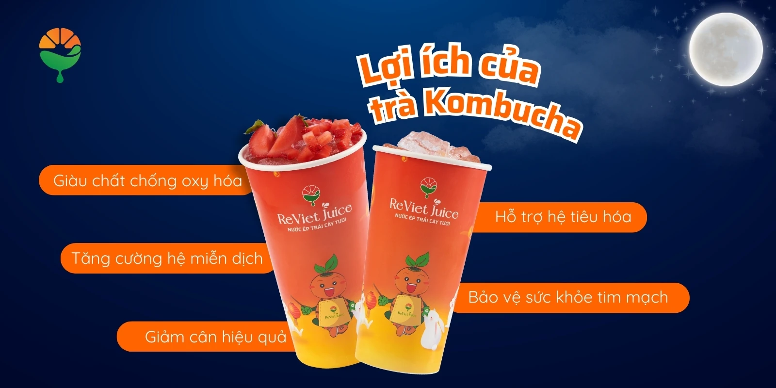 Lợi ích của trà Kombucha