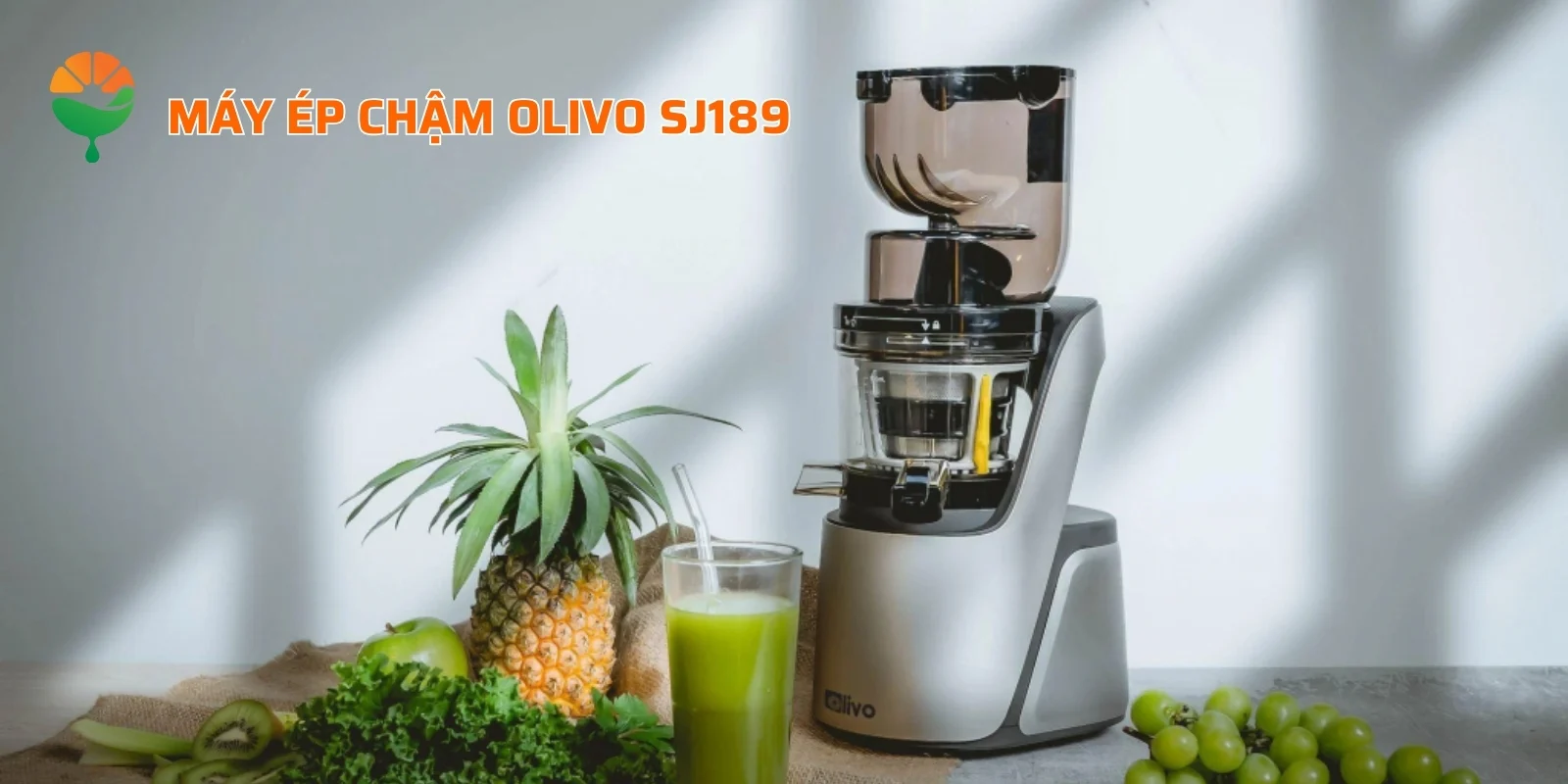 Máy ép chậm Olivo SJ189