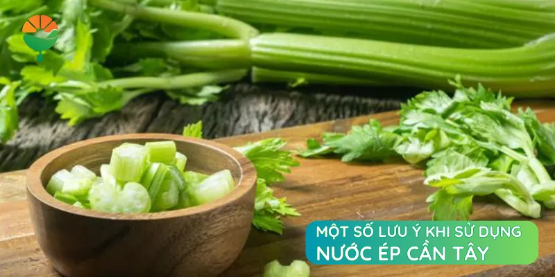 Một số lưu ý khi sử dụng nước ép cần tây Một số lưu ý khi sử dụng nước ép cần tây