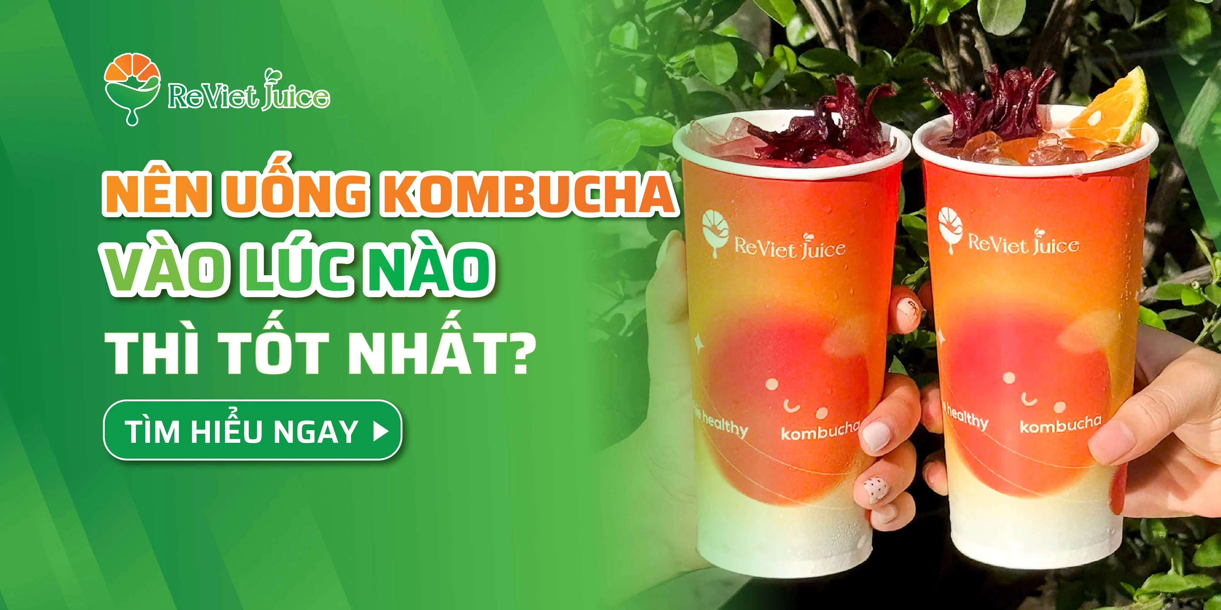 Nên uống kombucha vào lúc nào để có lợi cho sức khỏe nhất?