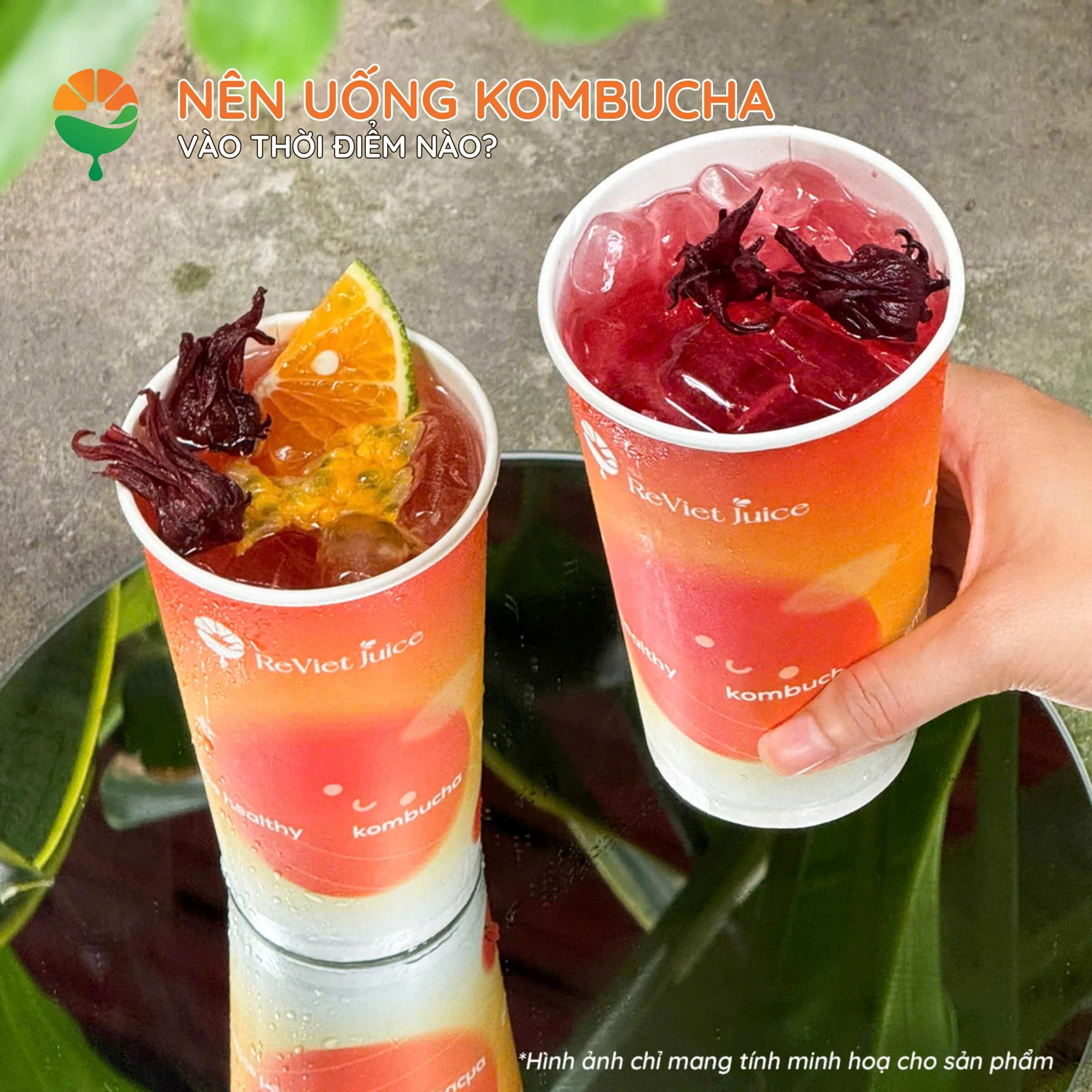 Nên uống kombucha vào lúc nào để có lợi cho sức khỏe nhất? Nên uống kombucha vào lúc nào để có lợi cho sức khỏe nhất?