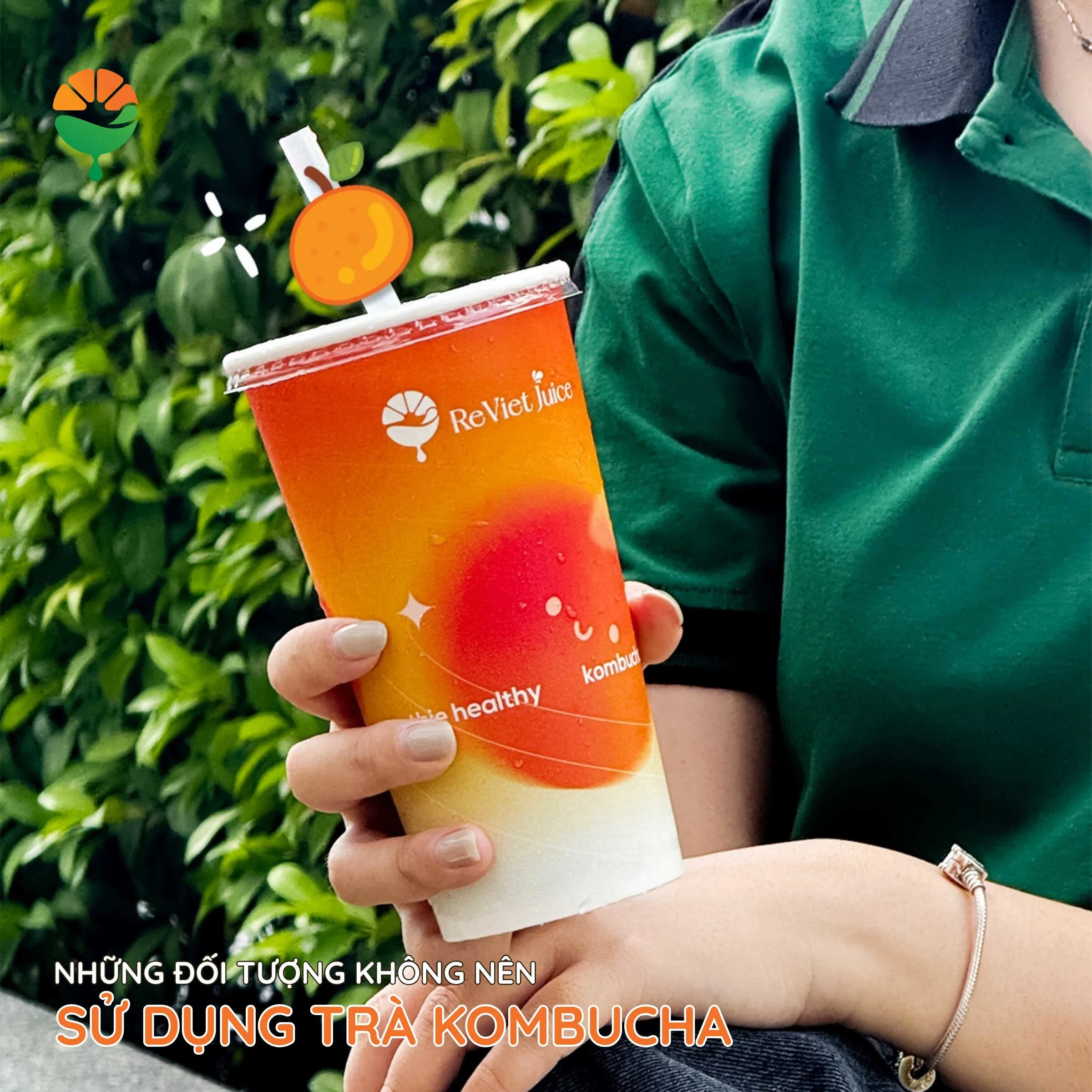 Những đối tượng không nên sử dụng trà kombucha