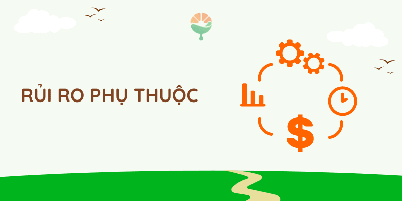 Rủi ro phụ thuộc