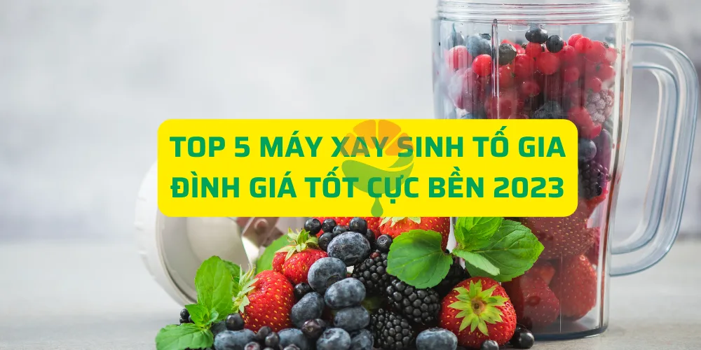 top 5 máy xay sinh tố gia đình giá tốt cực bền