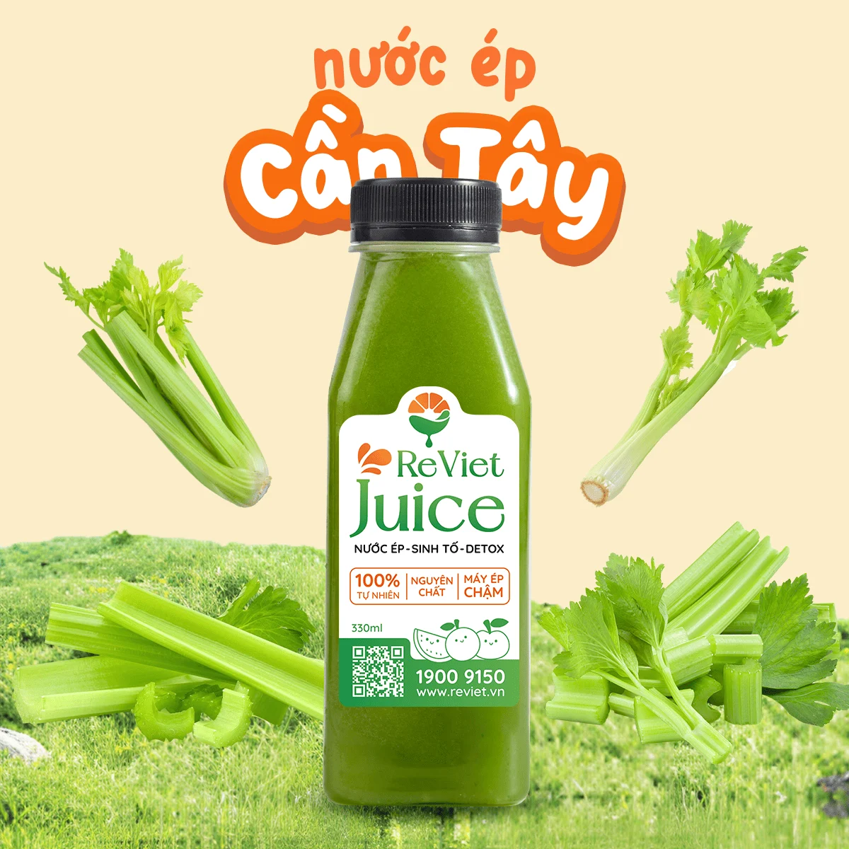 Uống nước ép cần tây có giảm cân không? Uống nước ép cần tây có giảm cân không?
