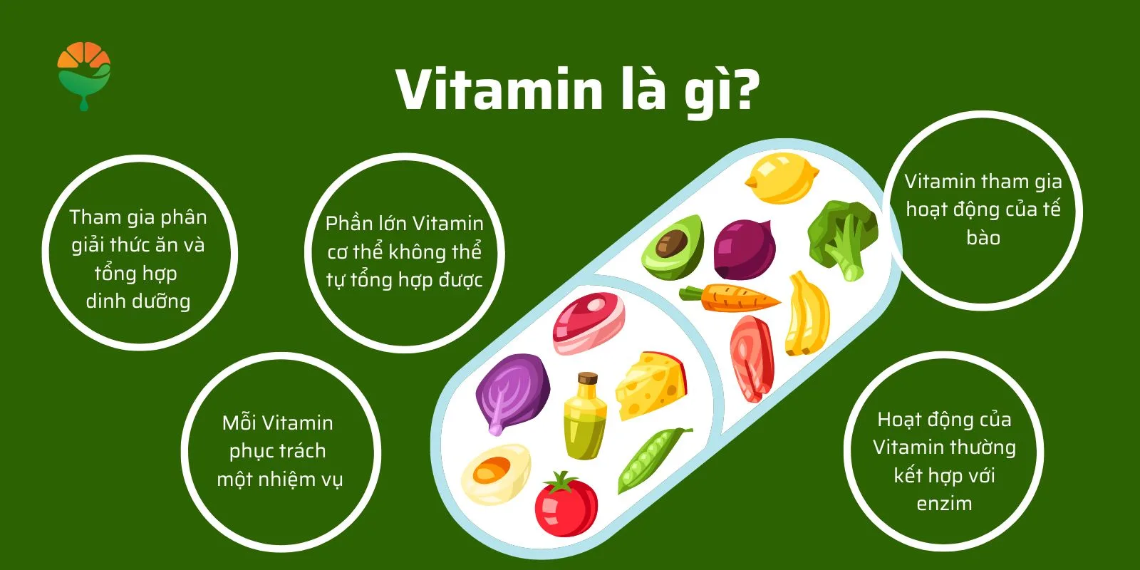 Vitamin là gì?