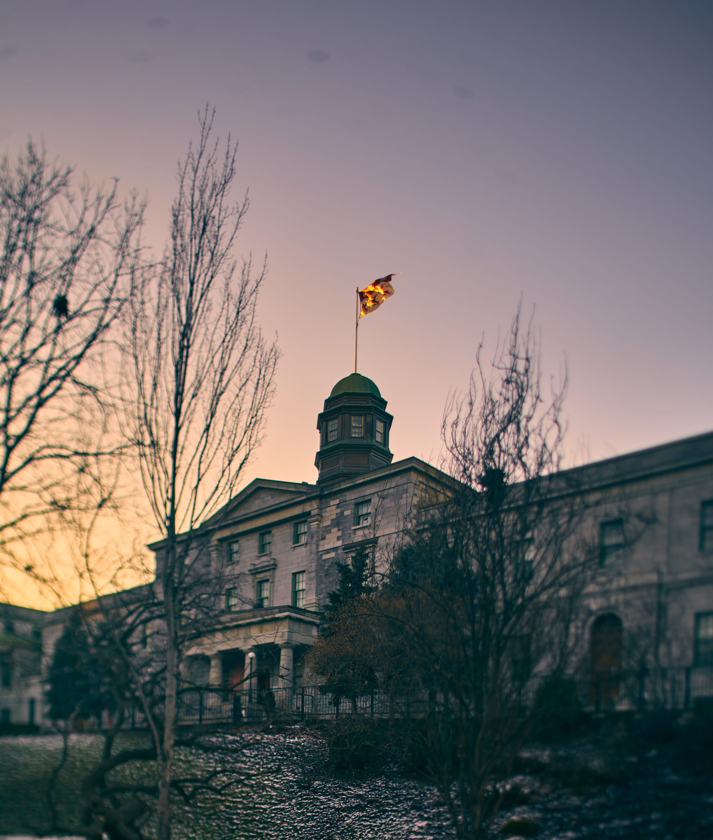 An imposing stone building stands beneath a dusky sky, the scene framed by bare winter trees. A flag flutters atop a central tower, catching the last light of day.