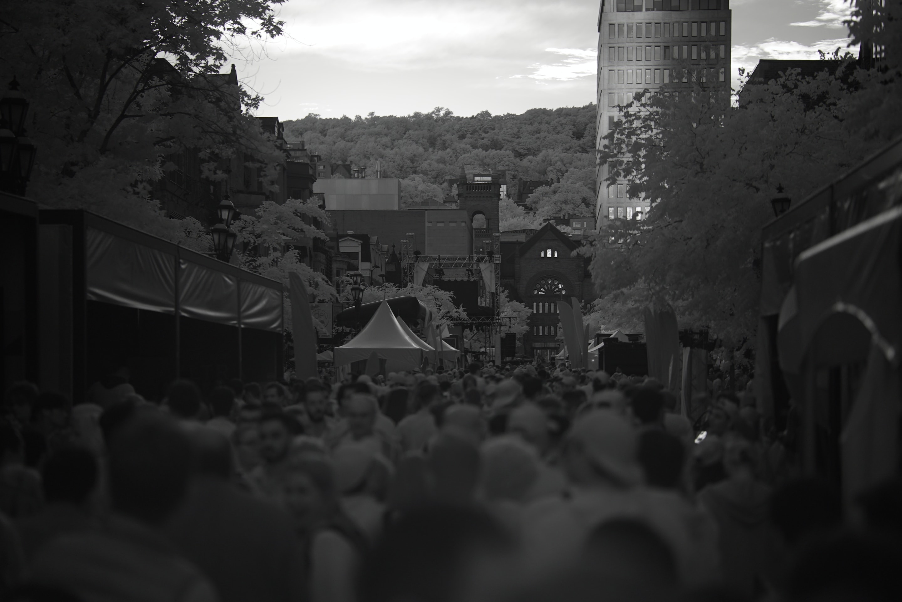 A street scene with a large crowd, buildings, and trees. The image is in black and white, creating a contrast of light and shadow.