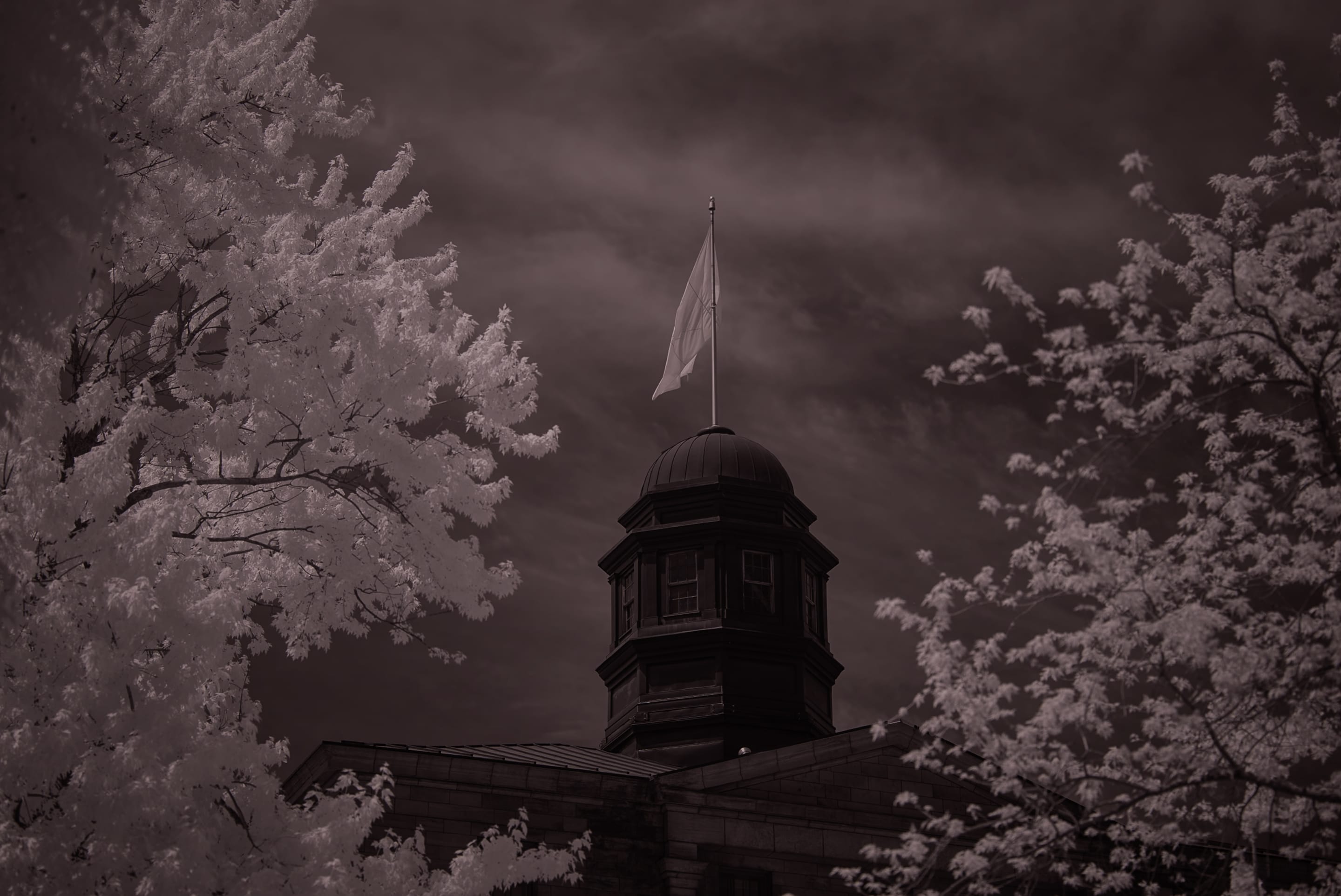 An architectural image of a building with a tower and a flag on top. The image is framed by trees with white leaves and set against a dark, cloudy sky.
