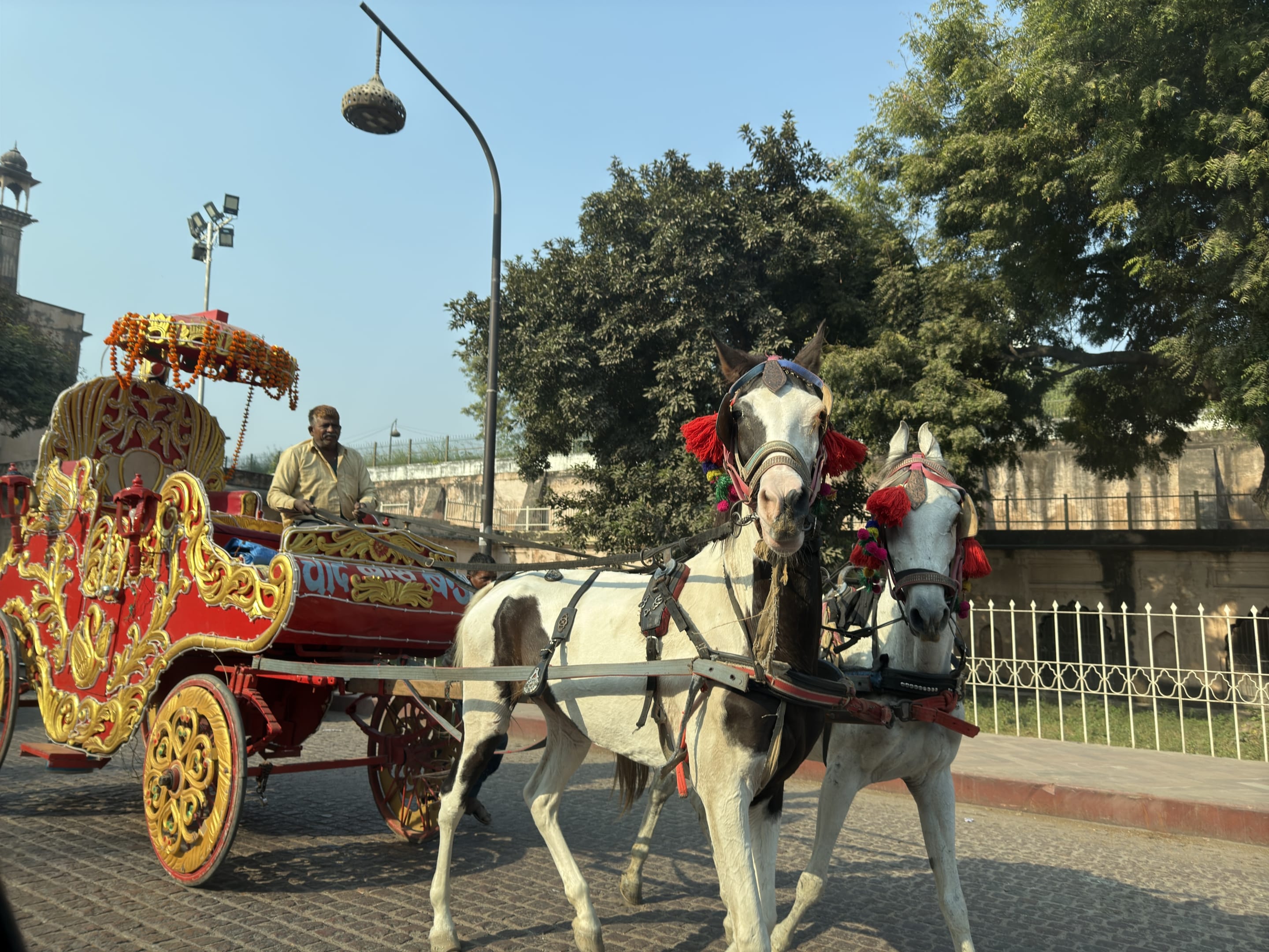 A horse-drawn carriage travels down a city street, the horses adorned with colorful decorations. The scene is bathed in sunlight, with a clear blue sky overhead.