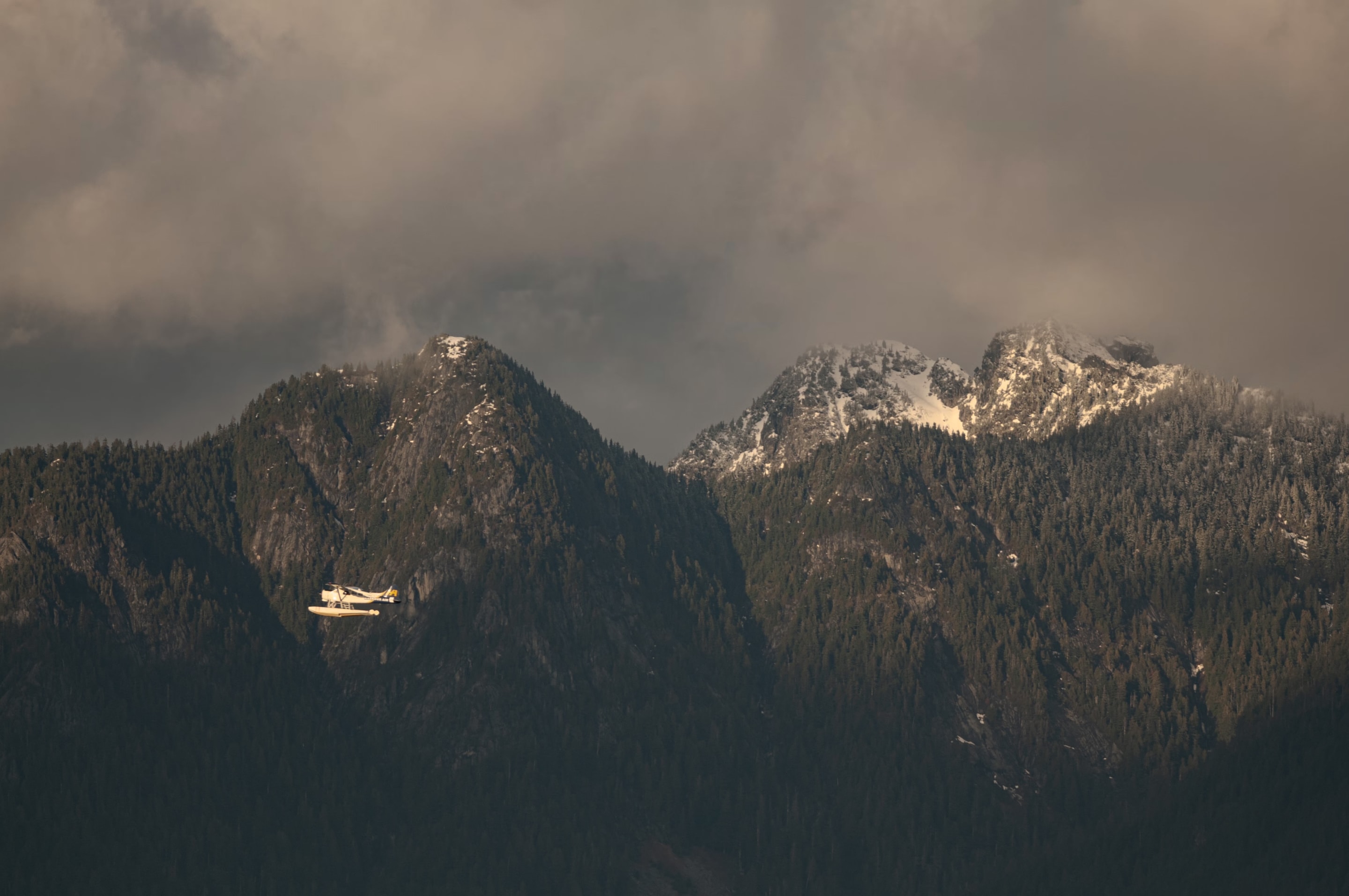 A seaplane soars against a backdrop of towering, snow-dusted mountains. The scene is enveloped in the soft light of a cloudy day.