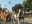 A horse-drawn carriage travels down a city street, the horses adorned with colorful decorations. The scene is bathed in sunlight, with a clear blue sky overhead. blurred out low res