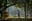 A photographer stands beneath a canopy of trees in an ancient, sunlit park, capturing the atmosphere of the ruins. The image plays with light and shadow, creating a serene yet mysterious setting. blurred out low res
