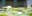 A serene scene featuring ducklings among lily pads and a white water lily. The image captures a moment of tranquility in nature. blurred out low res
