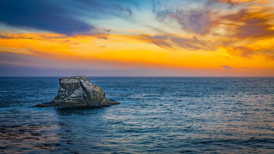 A rock off the coast of Port Townsend