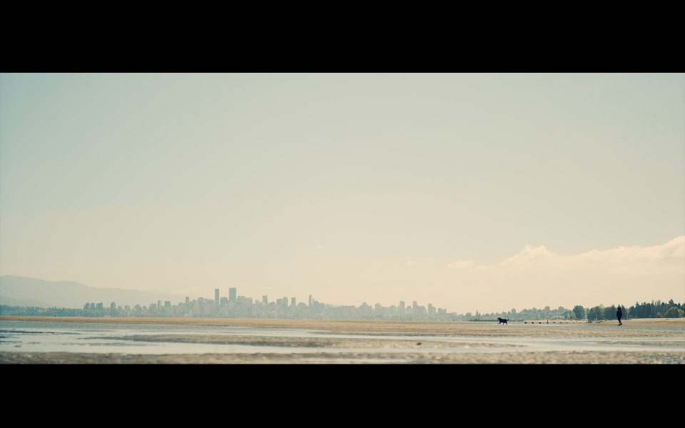 A tranquil coastal scene featuring a cityscape in the distance under a soft, pastel sky. A dog is running across the beach.