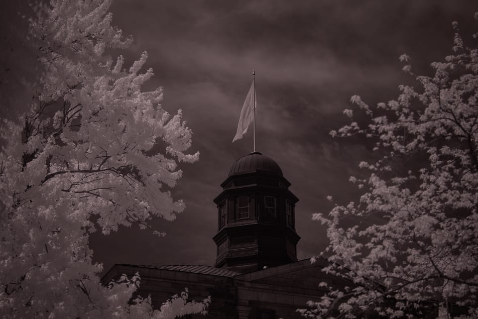 An architectural image of a building with a tower and a flag on top. The image is framed by trees with white leaves and set against a dark, cloudy sky.
