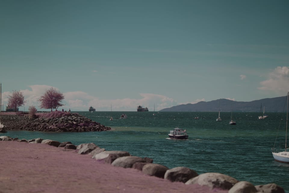 A coastal scene featuring boats, trees, and a serene ocean under a partly cloudy sky. The image has a slightly surreal color palette.