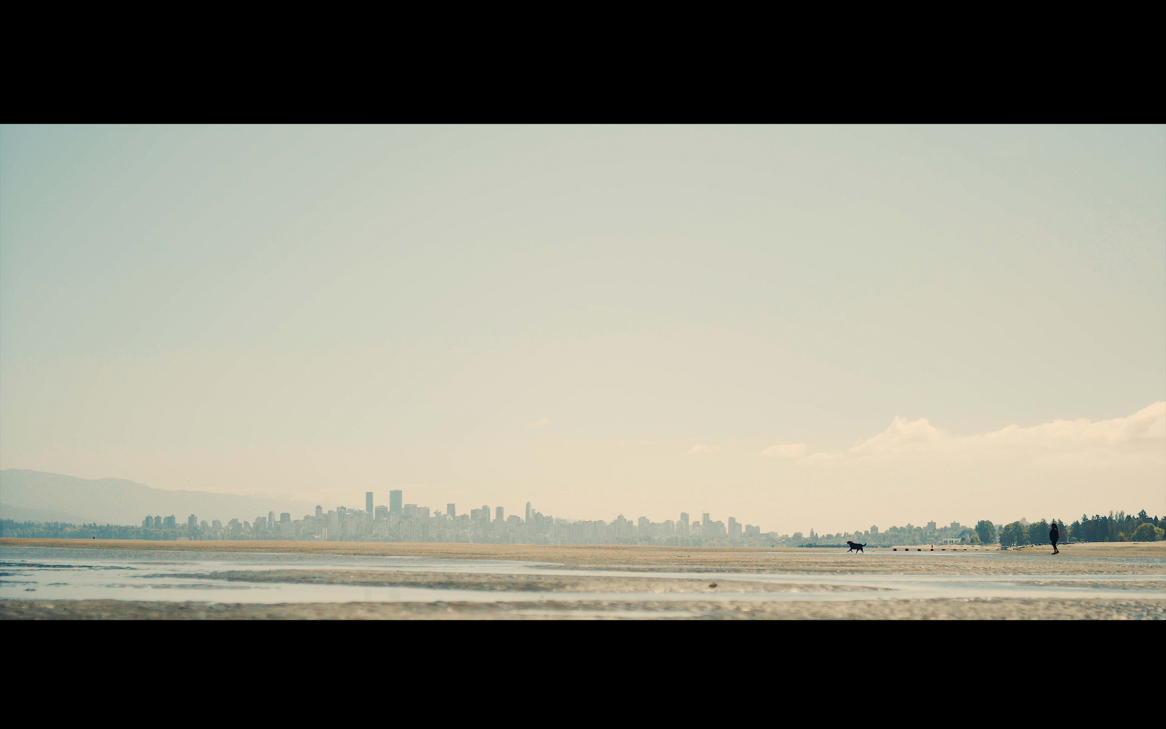 A dog runs across the beach with the city far behind it under a pastel sky.