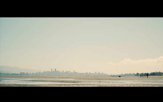 A dog runs across the beach with the city far behind it under a pastel sky.