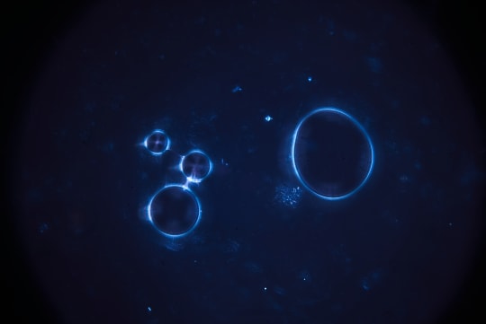 Blue spherical structures sit against a dark, textured field in a microscope image.