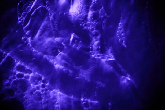 A lychee under ultraviolet transmitted light, with vein-like structure visible.