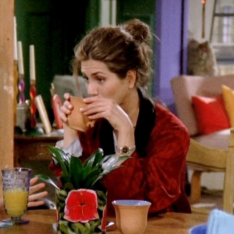 Friends rachel s01 e01 redrobe 22 o5jhlg