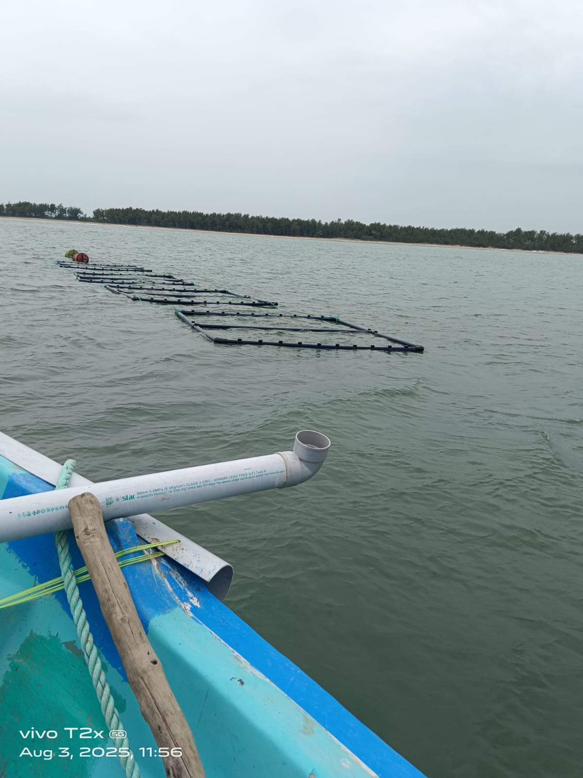Swapro seaweed farming infrastructure