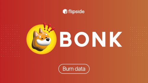 Bonk Burn Tool