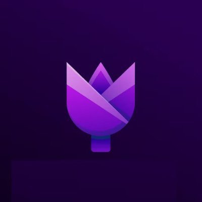 db_img