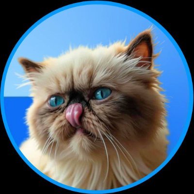 db-image-image-z5gO